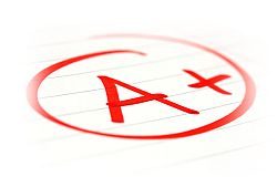 Cost of roller shutters in the UK